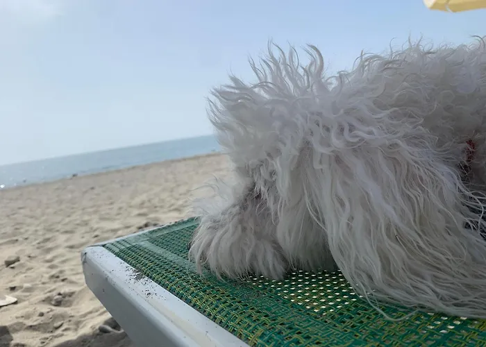 Апартаменты Casa Del Sole Нова-Сири-Марина