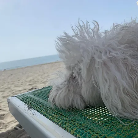 Apartman Casa Del Sole Nova Siri Marina