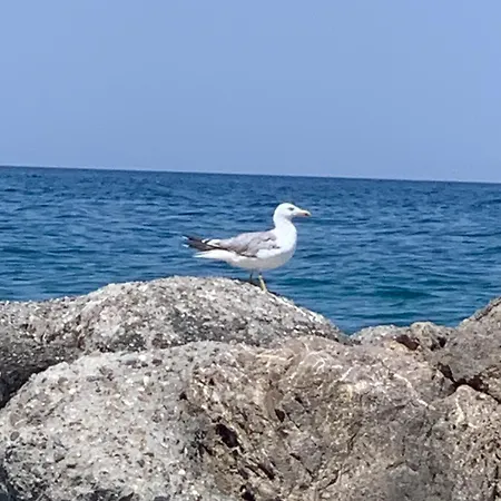 Apartman Casa Del Sole *