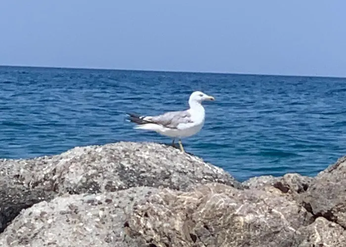 Apartamento Casa Del Sole *